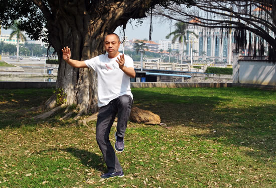 骆鼎注重养生,认为打太极可以修身养性,每天都坚持打太极